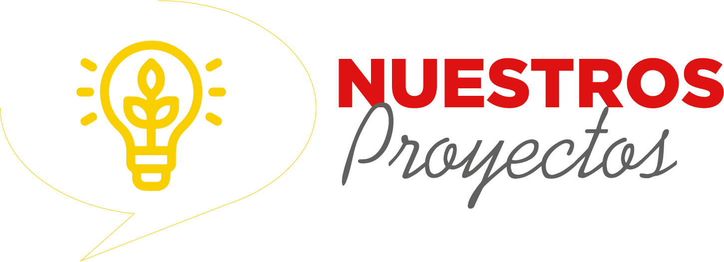 Nuestros proyectos