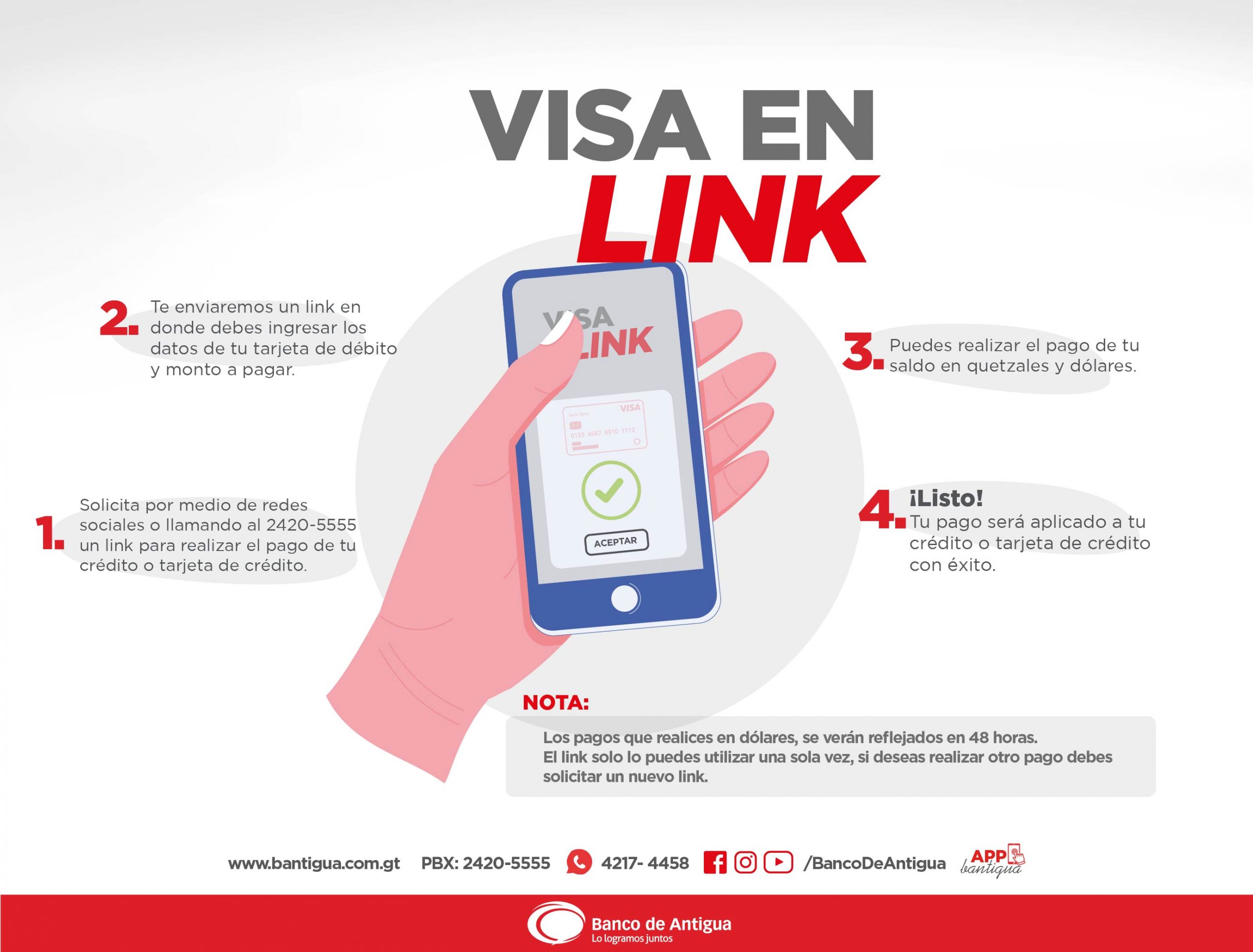 VISA en-link