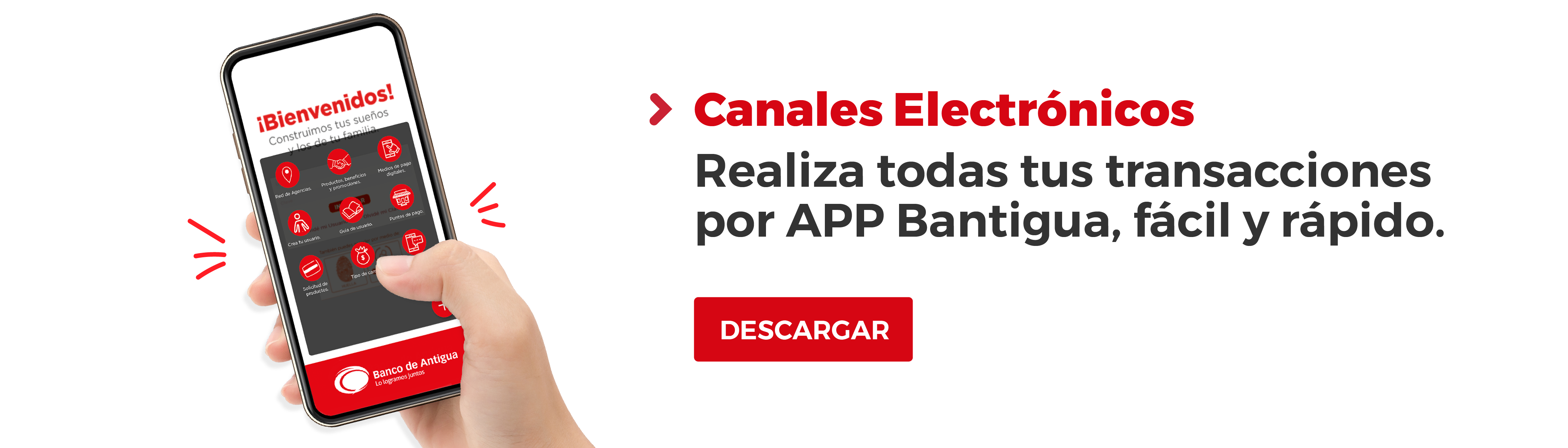 canales electronicos