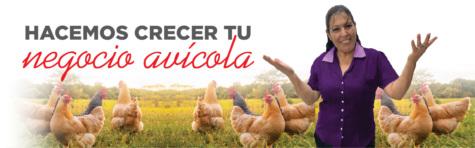 banner hacemos crecer tu negocio avícola