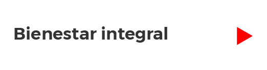 bienestar integral_CCO