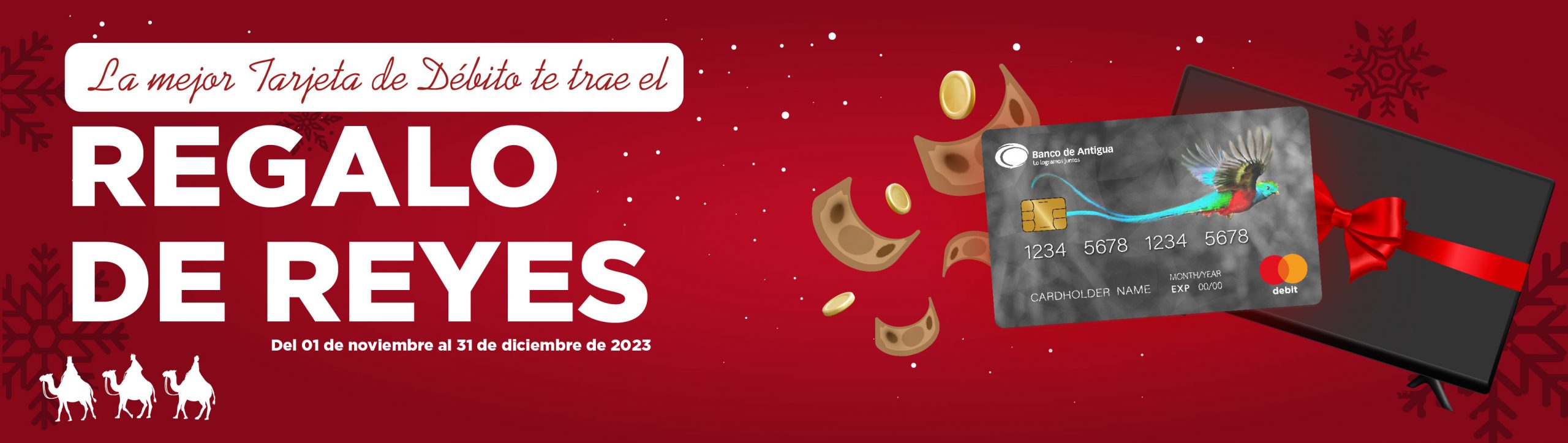 Banner Navidad sin boton