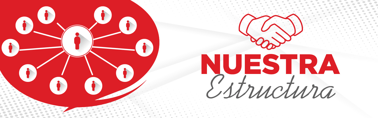 WebBanners_Nuevos2024_Nuestra Estructura