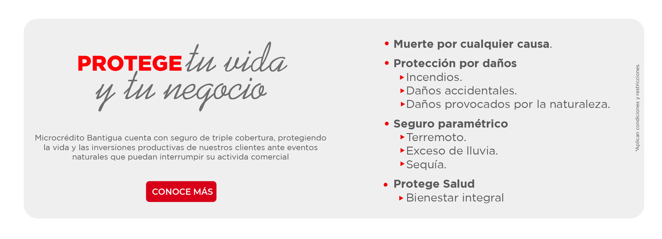 Sección_Seguros Bantigua_Seguro Protege tu vida y tu negocio