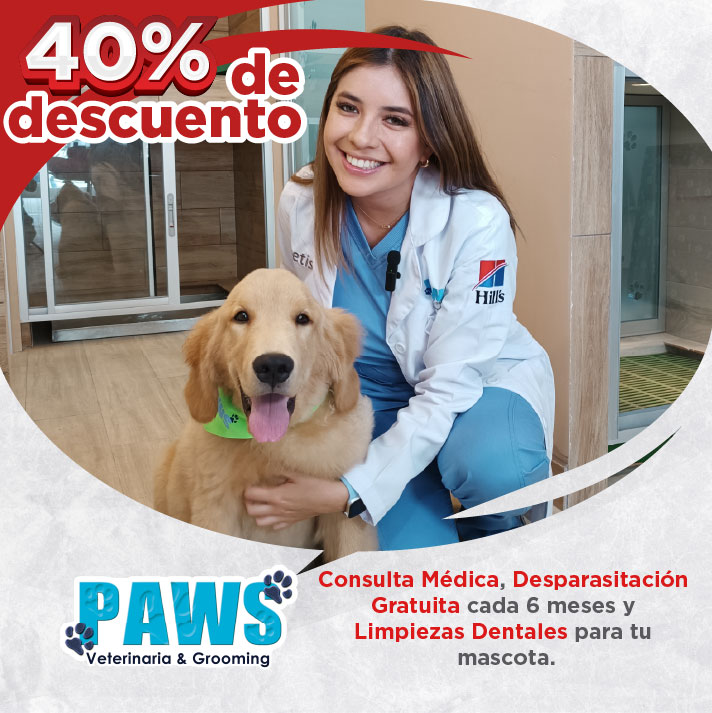 40% consulta medica [24]