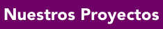 Botón Nuestros proyectos