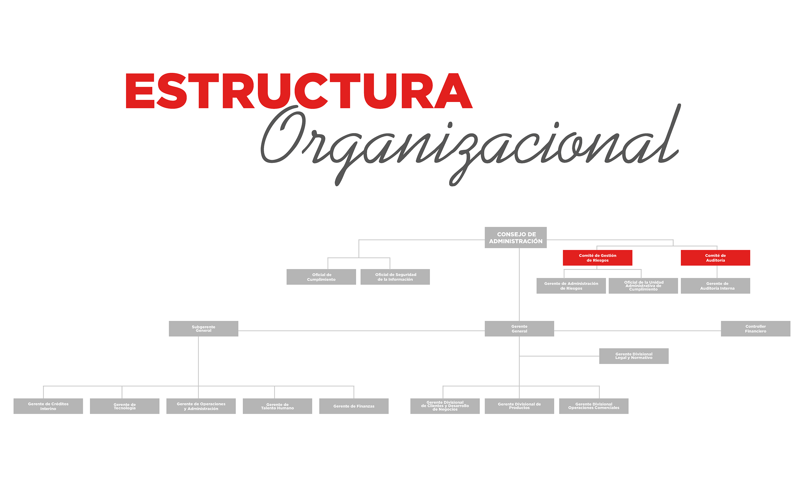 EstructuraOrganizacional_AdaptadoWeb