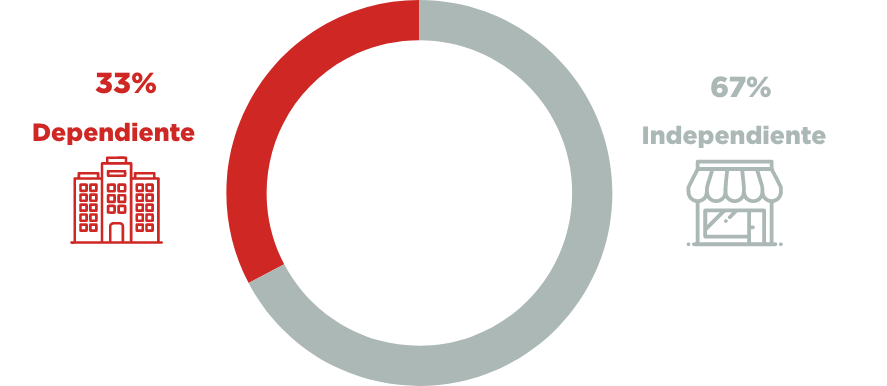 Grafica por actividad enconomica