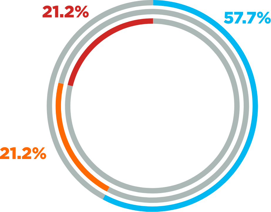Grafico 4-Fuente ingresos clientes