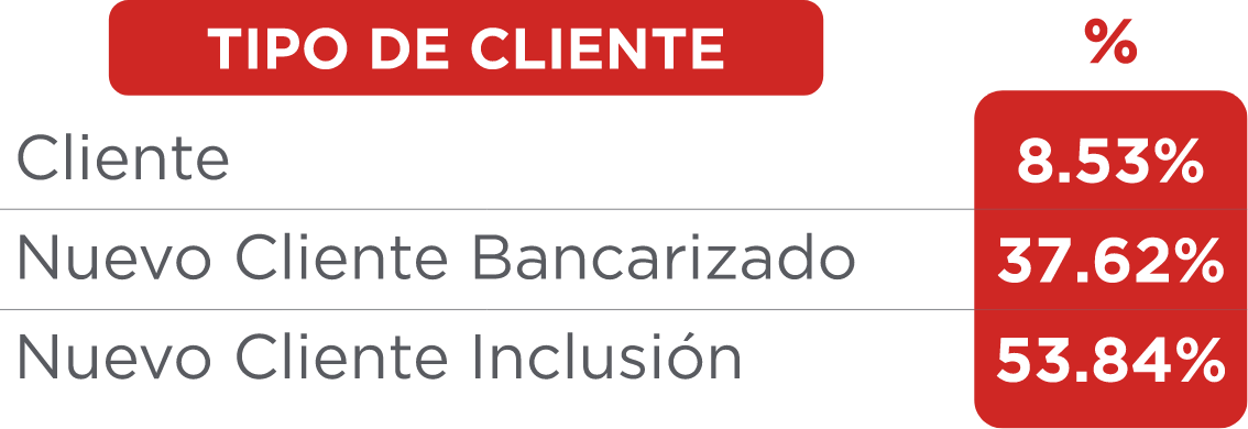 Tabla 9-Tipo de cliente