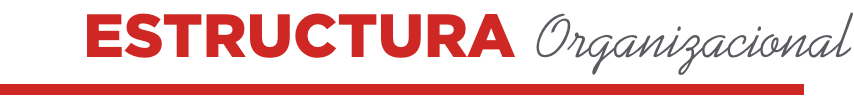 Titulo estructura organizacional