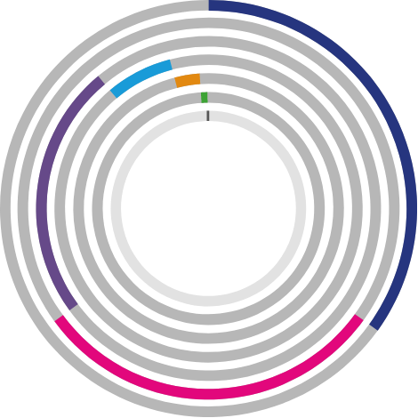 cap 3 grafico escolaridad independiente