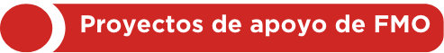 cap 5 titulo proyectos de apoyo fmo