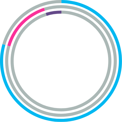 grafica origen etnico