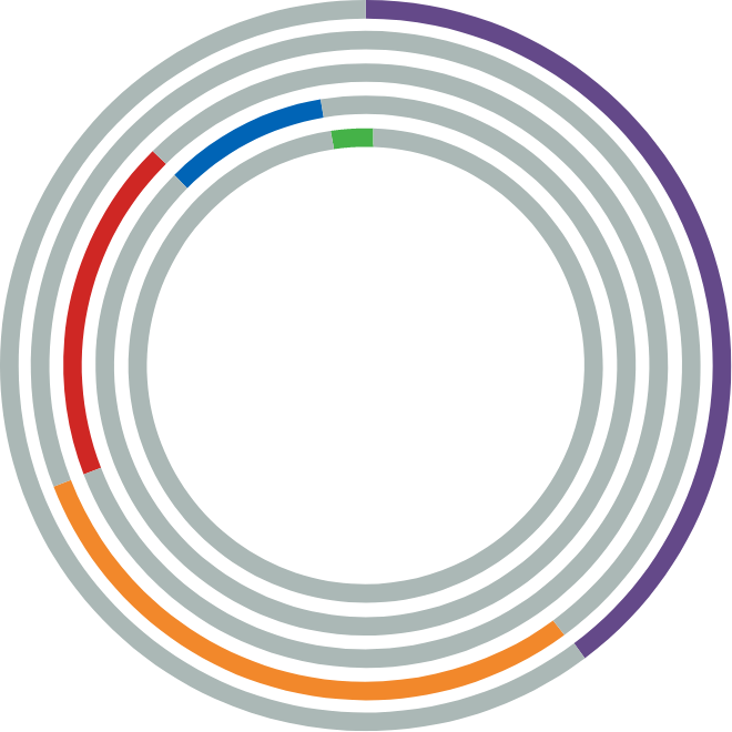grafico 3 segmento saldo