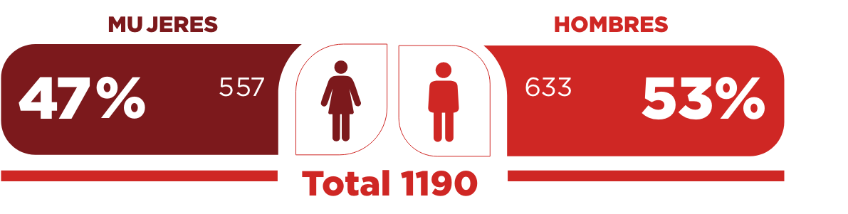 grafico nuestros colaboradores hombres y mujeres