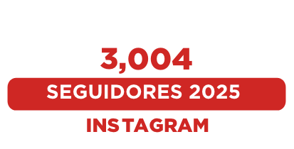 graficos 3004 seguidores instagram