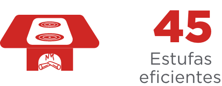 icono 45 estufas eficientes