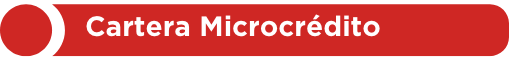 titulo cartera microcredito
