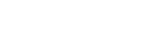 vision